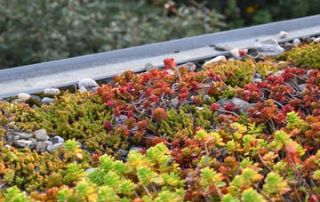 the cost of Newton Arlosh green roof installation