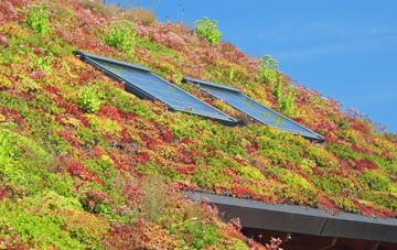 Newton Arlosh living roof systems
